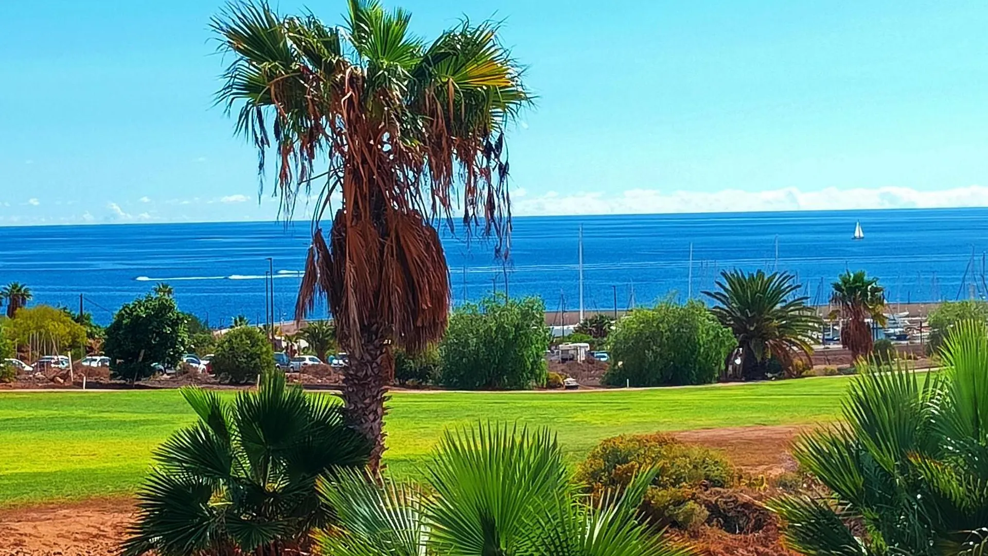 Waves Of Tranquility Residence San Miguel de Abona España